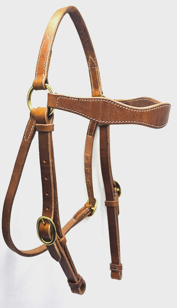 Winton Challenge Bridle